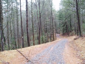 clear access roads Georgia